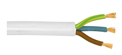 Using Electricity, figure 1