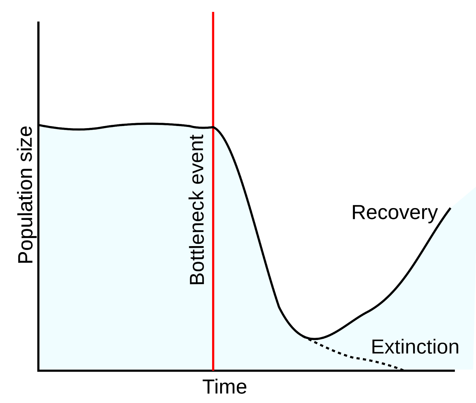 Genetics and Evolution, figure 2