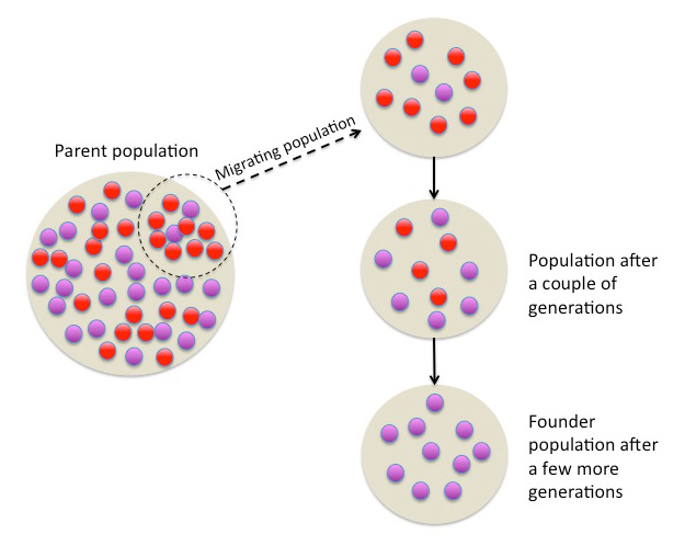 Genetics and Evolution, figure 4
