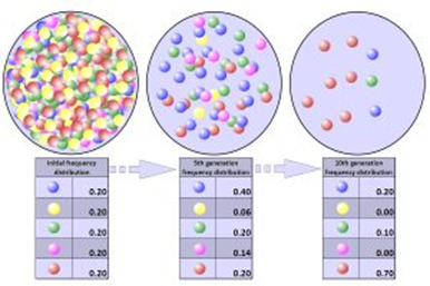 Genetics and Evolution, figure 1