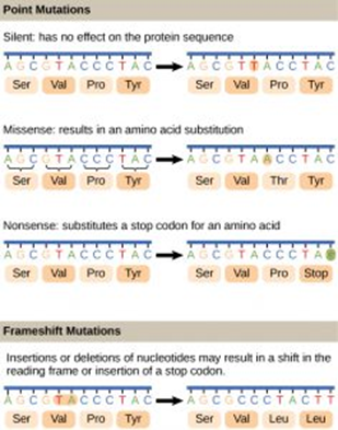 Genetics and Evolution, figure 1