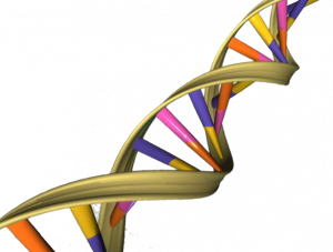 Nucleotides and Nucleic Acids, figure 1