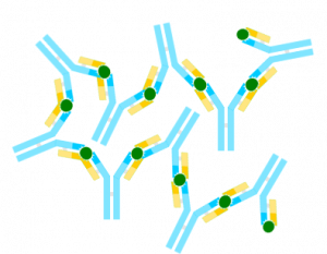Communicable Diseases, Disease Prevention and the Immune System, figure 3