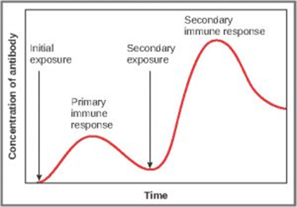 Communicable Diseases, Disease Prevention and the Immune System, figure 5