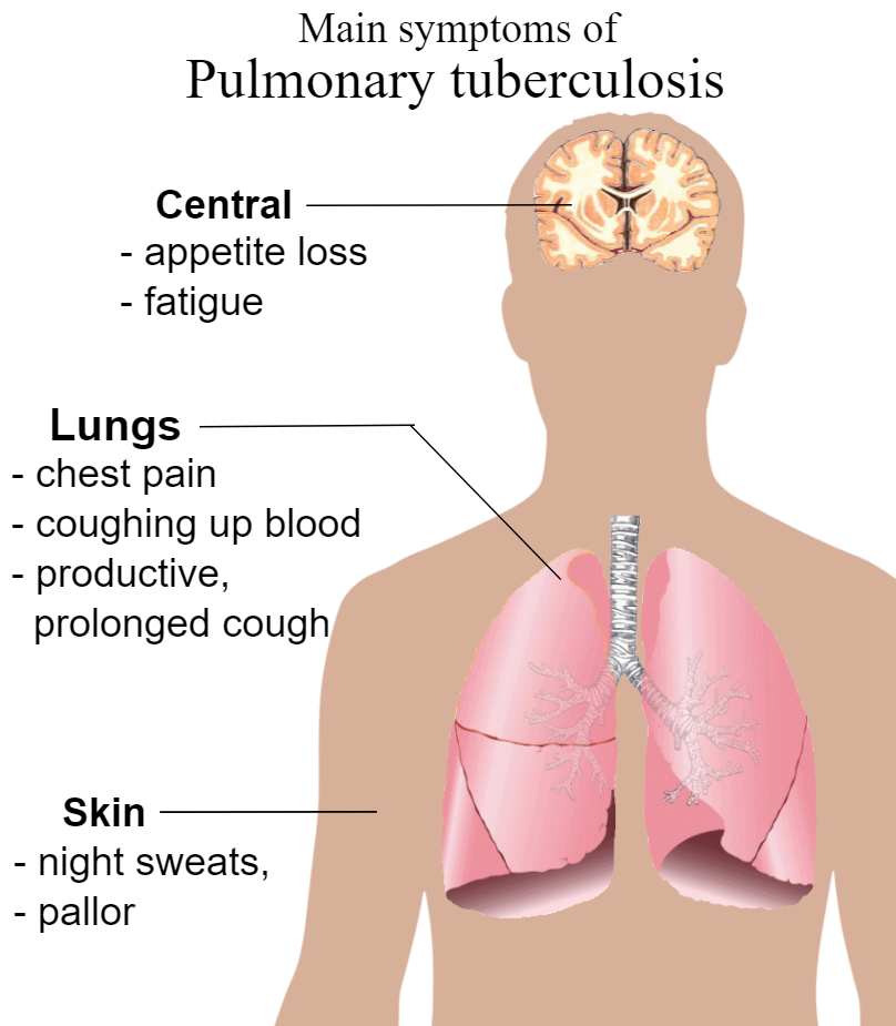 Communicable Diseases, Disease Prevention and the Immune System, figure 1