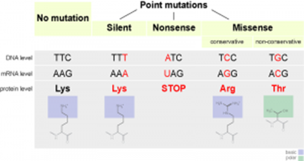 Genetics and Evolution, figure 2